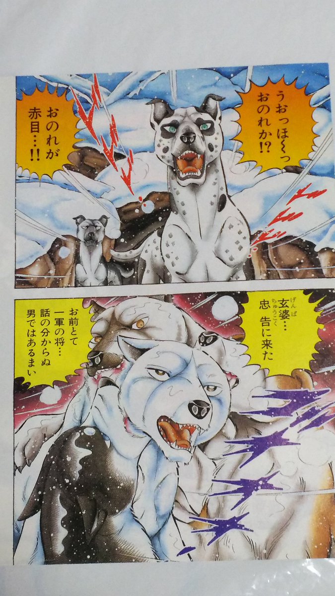 中原伸明 En Twitter 銀牙伝説weed 銀牙流れ星銀 銀牙 銀牙伝説weed 第14７話の カラーです 敵陣に 乗り込む赤目さん あの赤目に 逃がさないように 犬たちが 必死にくわえてます 忍犬に 束にかかって来ても 脱出しますね T Co Jp3k035fe2