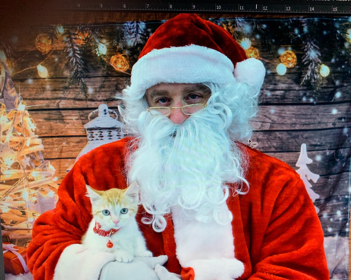 PAWS Ohio tweet media