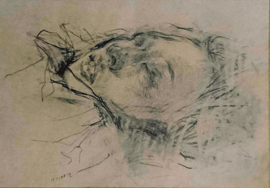 ebisquez's tweet image. 1998 12.7×18.1cm クラフト紙に鉛筆

私の妻、初公開。

寝ているところを昔 素描しました。目覚めてから、それを見せたところ、「死んでるみたいね、、」と言われました。
私の妻は、画家として私より有名です。