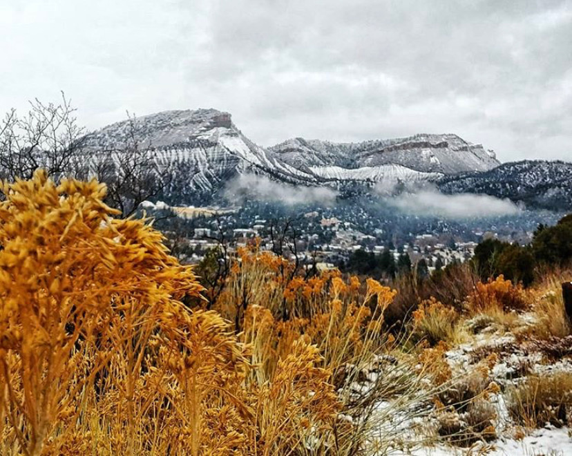 360Durango's tweet photo. Views from the hill up at Fort Lewis. Doesn't get much better than this π
Photo by @swcenterflc from Instagram!
#dodurango #durangoco #durangocolorado #colorado #visitcolorado #fortlewiscollege https://t.co/rcCZ0wOMnh