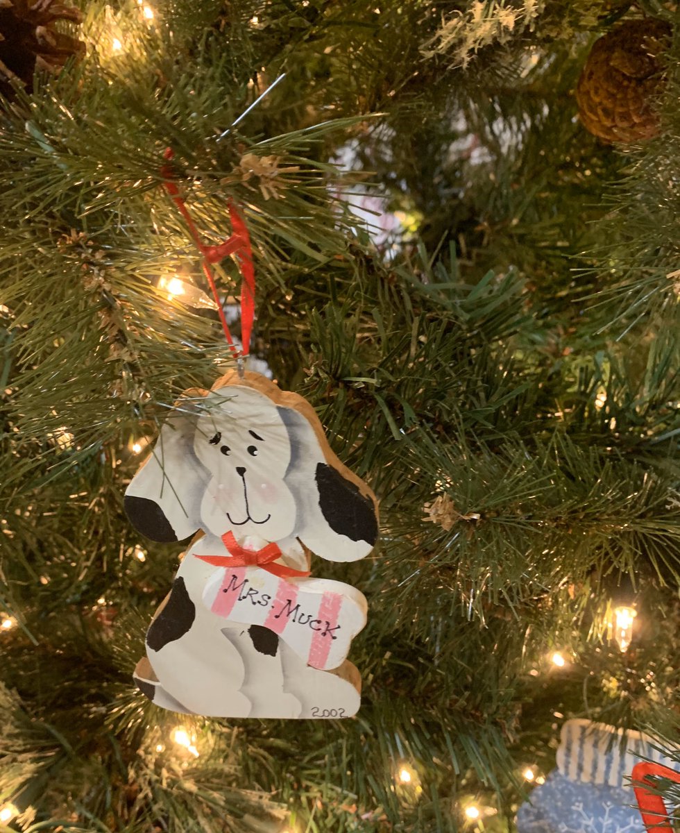 MrsEMuck's tweet photo. Ornaments from students bring a smile to my face. Love the memories they bring each year when I put my tree up! https://t.co/yytRlRixCI