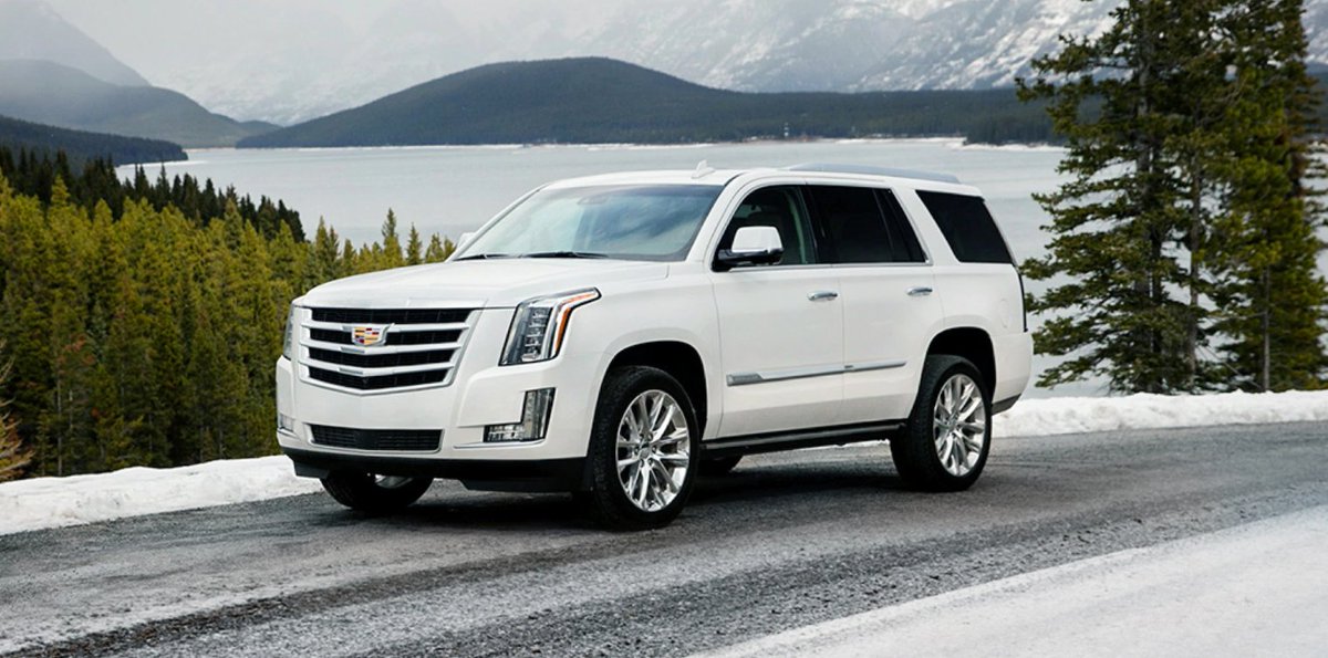 SchepelCadillac's tweet photo. Ring in the holidays from behind the wheel of a new 2020 Cadillac Escalade. https://t.co/ECIZ6spPul