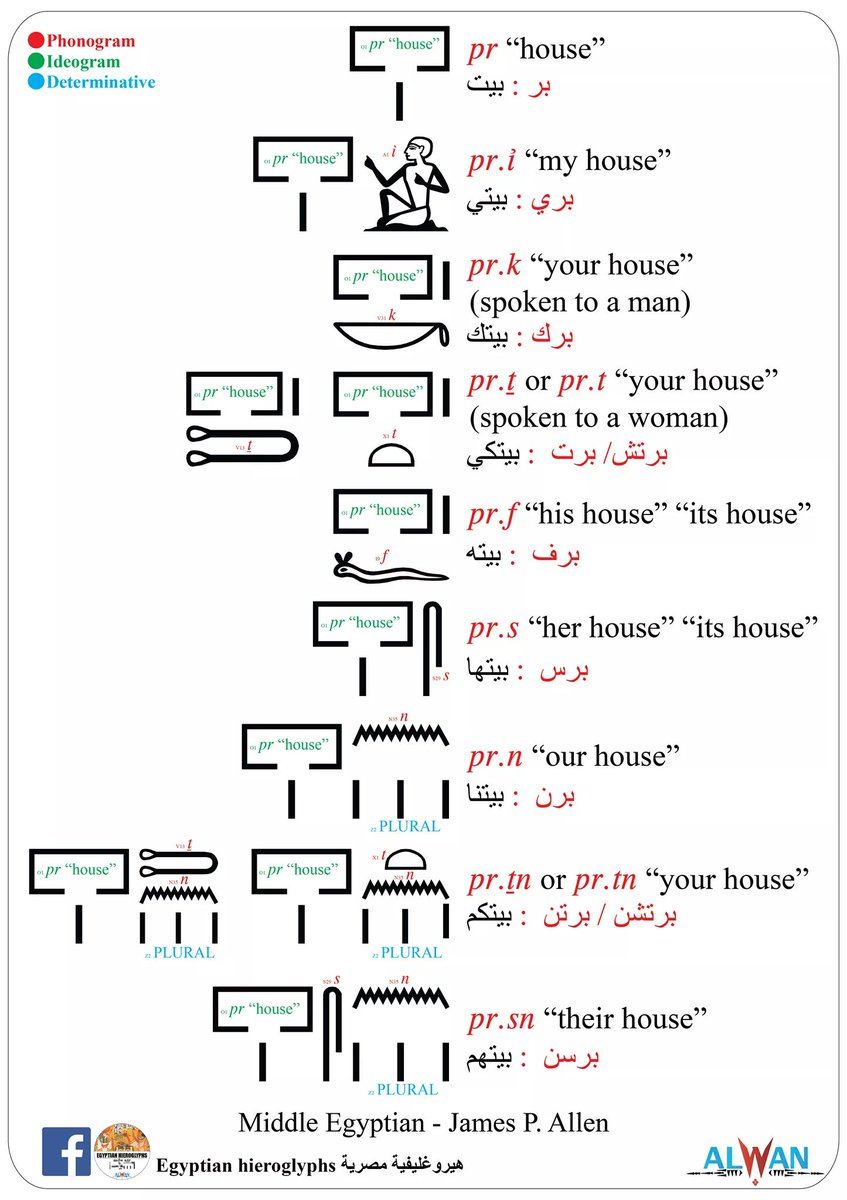 AtifElsayed's tweet image. 