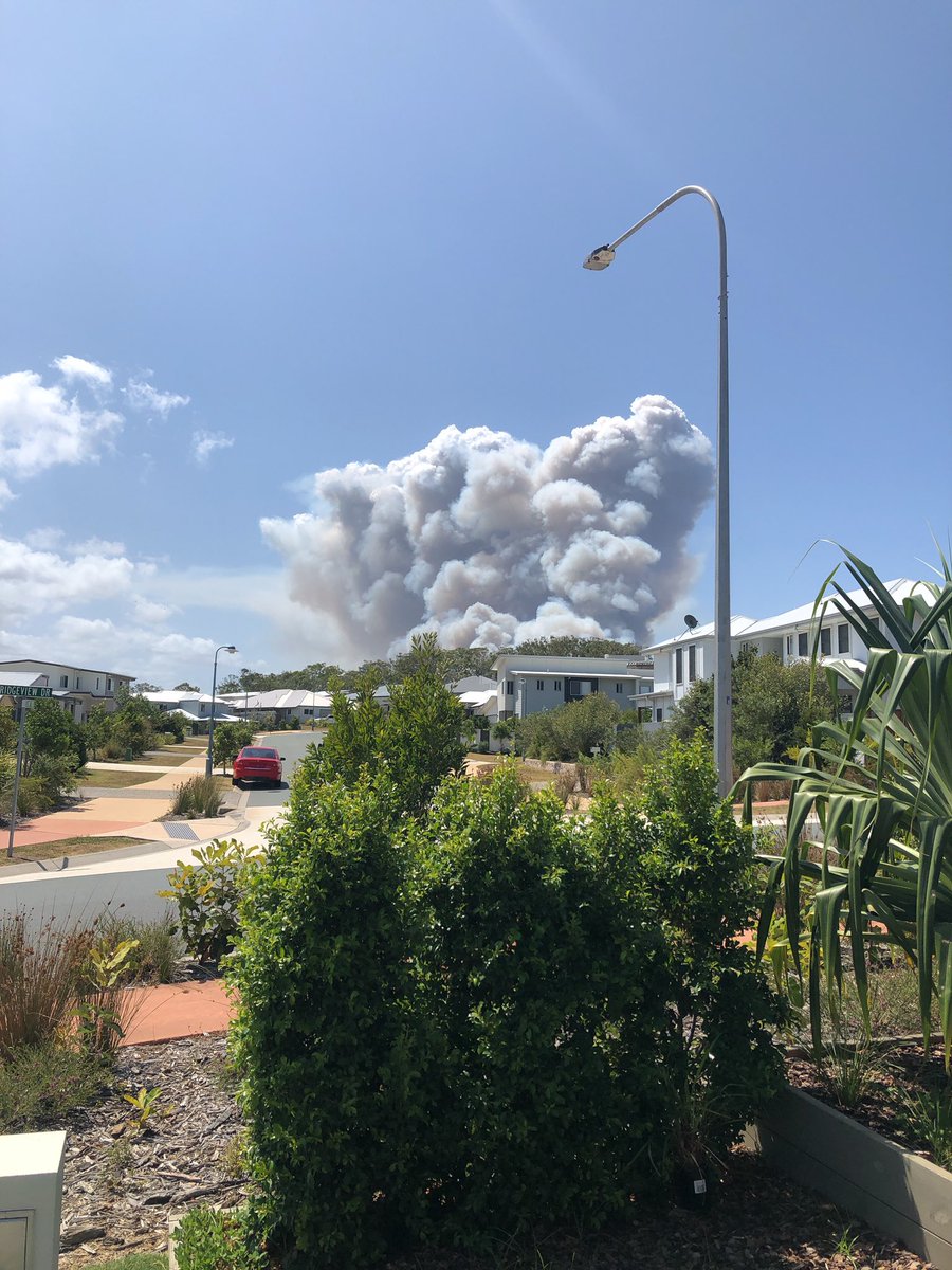 ryan lerch tweet media