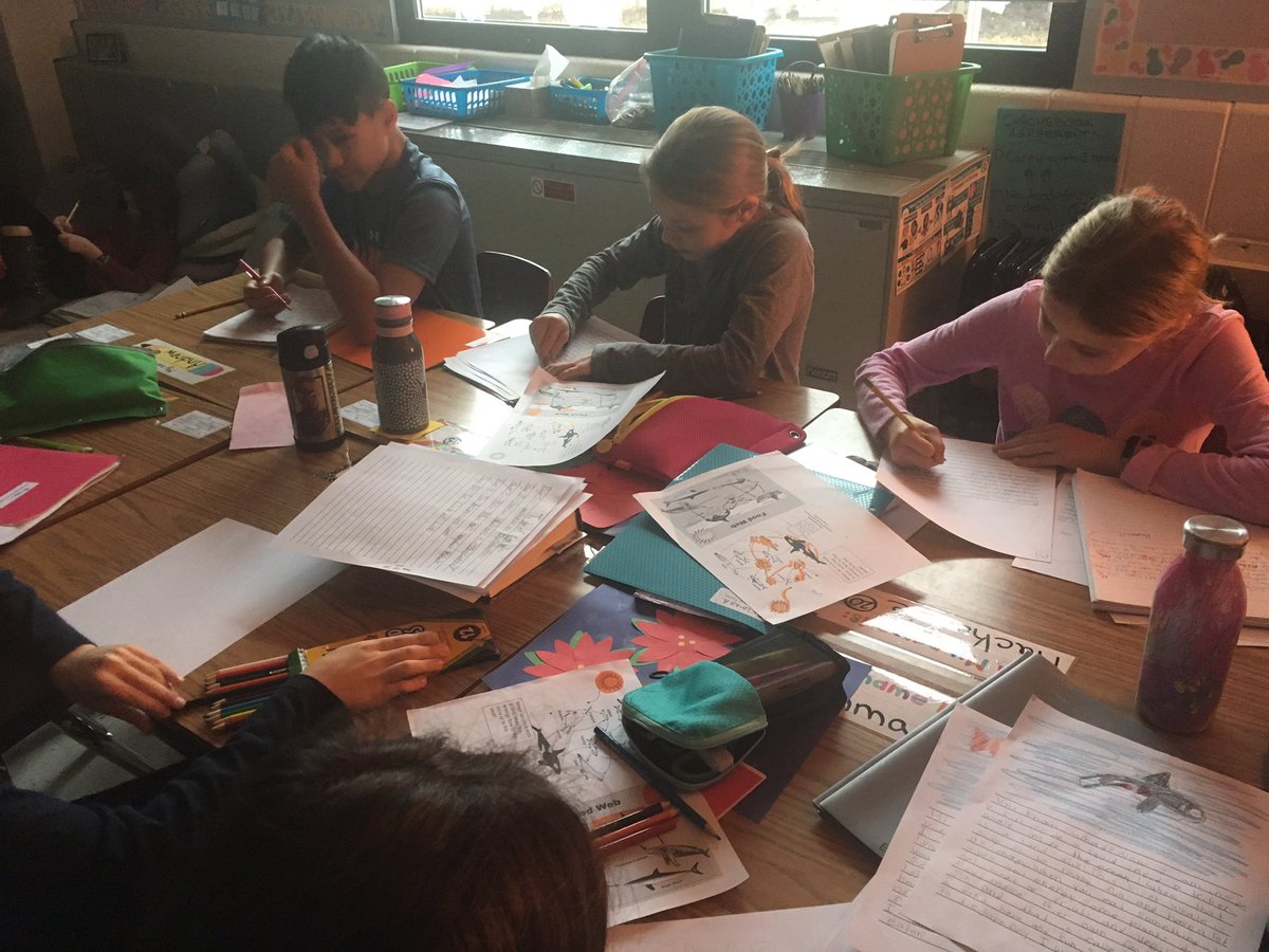 MsSwanton5th's tweet photo. Students are publishing their narrative nonfiction stories about ocean food chains 🦐 🐋 https://t.co/1URNa4X3k0