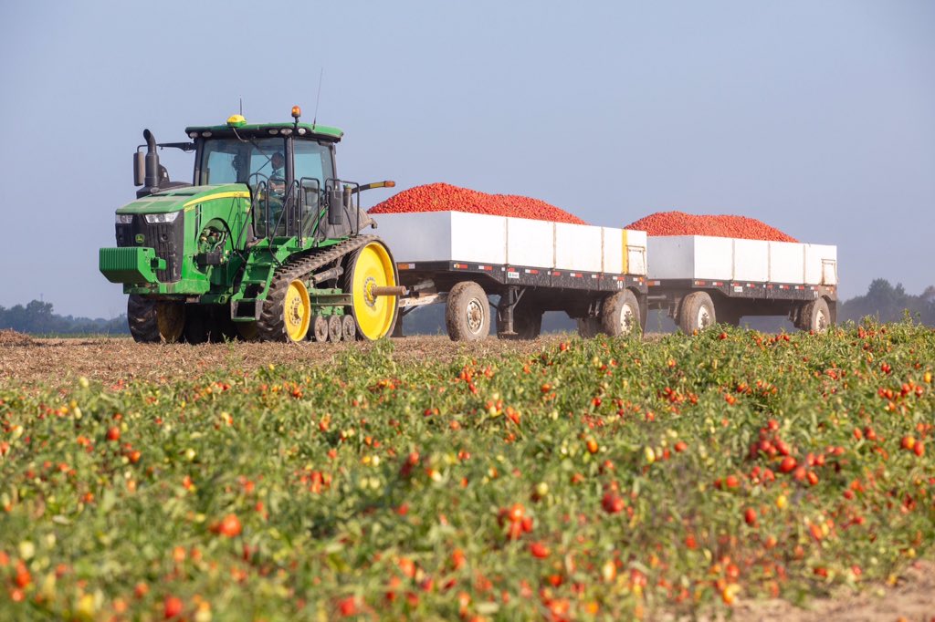 xjtomato's tweet photo. The Chalkis owed tomato plants will running 8 factories in next season. https://t.co/rnyjYnuS2y