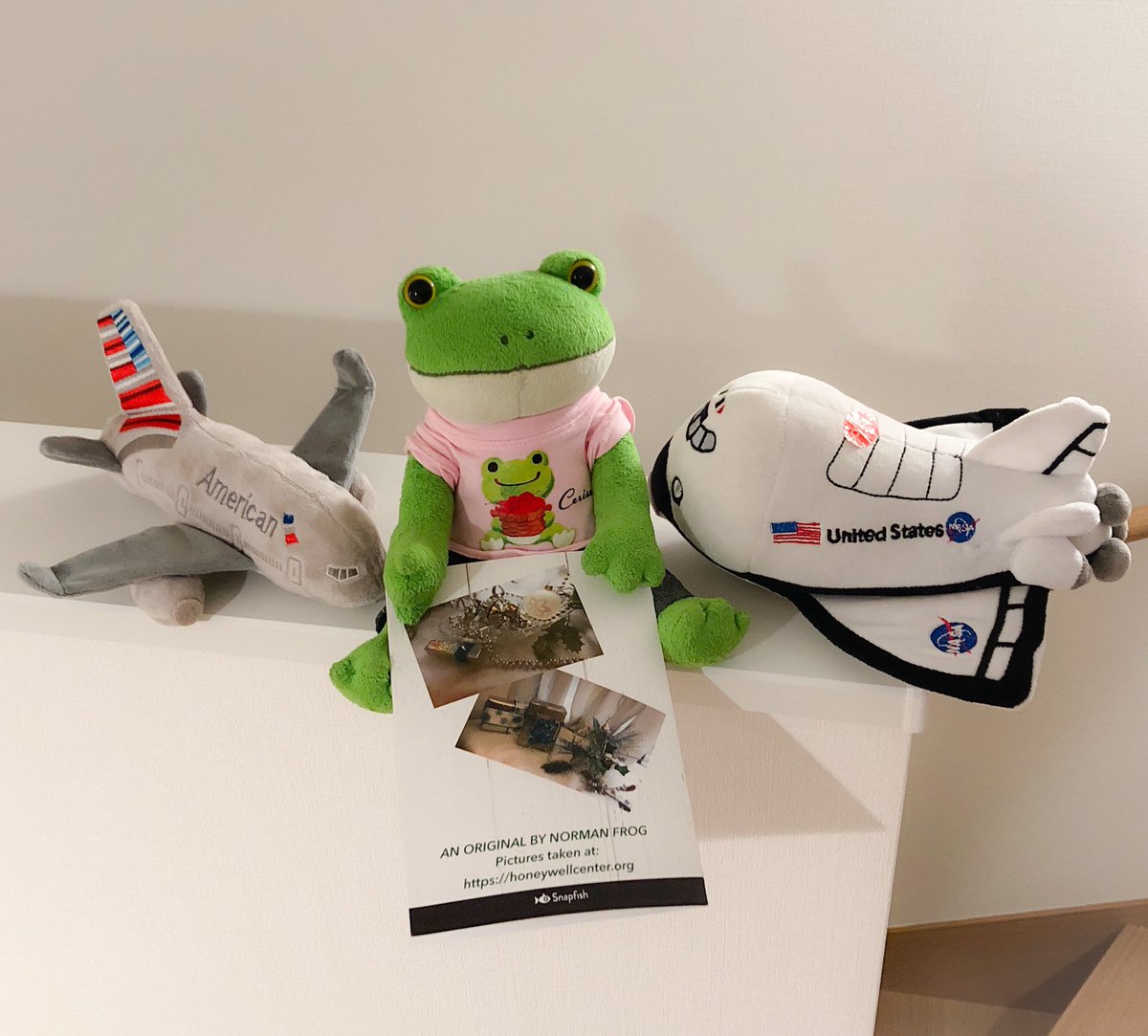 ট ইট র うさぎのギチョ 昨日は 飛行機の日 遅っ ウチには飛行機の ぬいぐるみもあるよ 1個は コンコルド かな コポー かえる 飛行機 ぬいぐるみ やろカレ ぬい撮り 今日は何の日