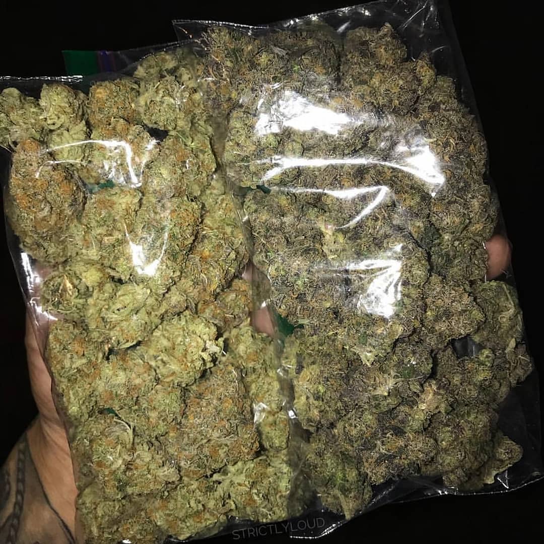 BosPriime's tweet photo. bonne qualite et livraison en toute discretion
Snapchats priîncew
Wickr mes bossmaxx
Telegram bossmaxx
#paris16 #paris18eme #paris55 #paris19eme
#paris98 #paris14eme #parislo #paris11
#paris15ème #paris44 #paris12eme
#paris15eme
#paris2 https://t.co/UiisDDCMfT