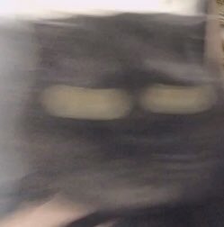 뭐가 그렇게 싫은데