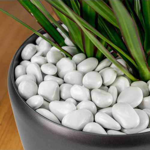 Small polypebbles, specially designed for small potted plants, to meet your decoration needs. Interested friends can contact me by email.    yzyw1989@gmail.com
#plant #planter #landscape  #Garden #indoor #container #plantscapers #contractor #Green #lease