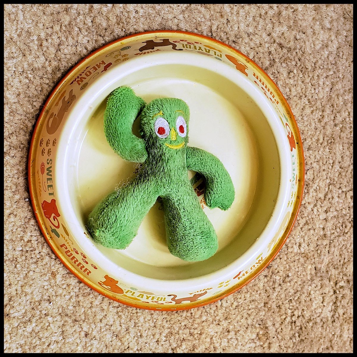 WyattMarlo's tweet photo. Humphrey has a guest over for dinner tonight.
#GumbyToy #cattoy #emptydish #cat #CatsOfTwitter https://t.co/fCNMEOUESY