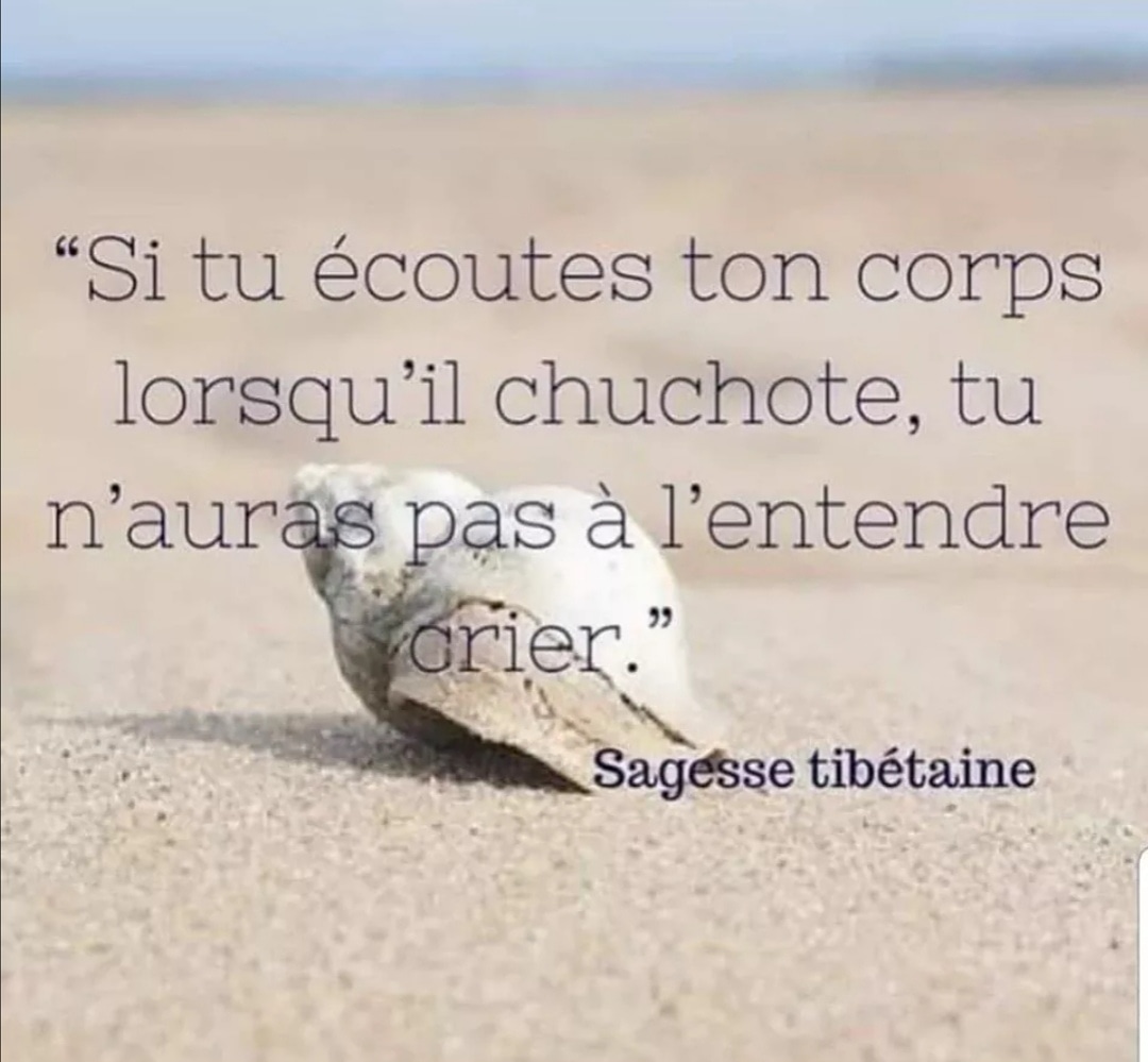 #minstet #positivemindset #bonheur #positiveatitide #mindsetofgreatness #minsetpositif #reussite #naturopathie #power #manpower #womanpower #evolution #autosuggestion #positif #evolutionpersonnelle #developpementpersonnel #repasequilibre #alimentationsaine #alimentationsante