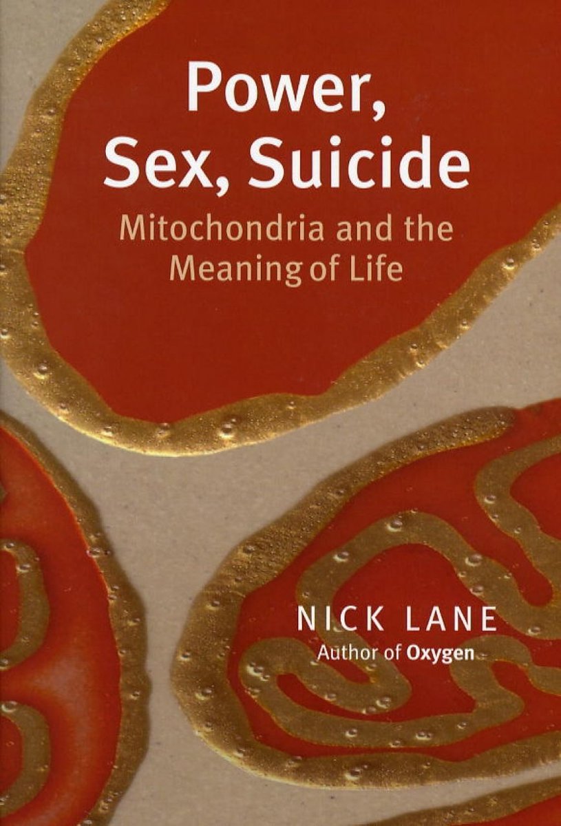 Heather Painter tweet media