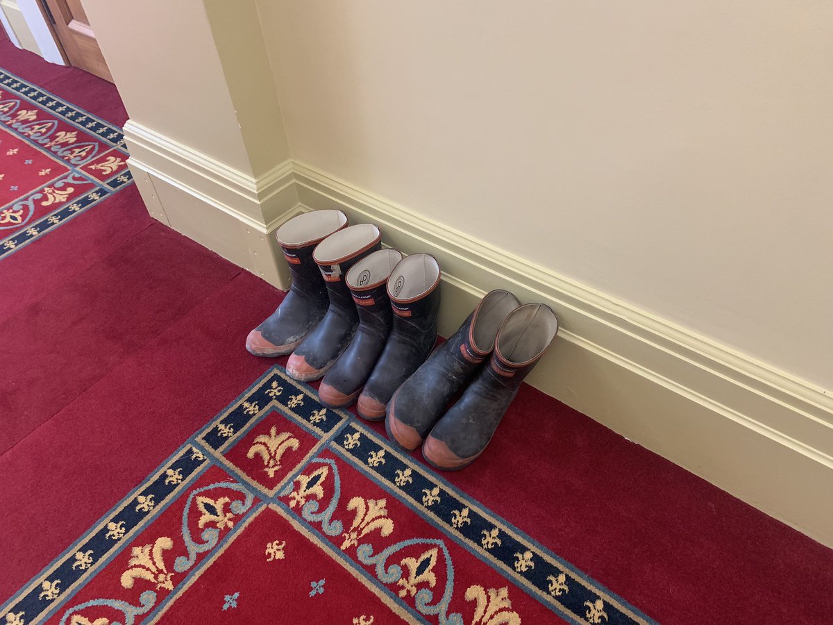 Rangitih1's tweet photo. How do you know Tūhoe has arrived at @NZParliament ? #RuaKēnana https://t.co/QzSQoNZteI