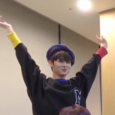 Stray Kids Lee Know as meme cats— a thread