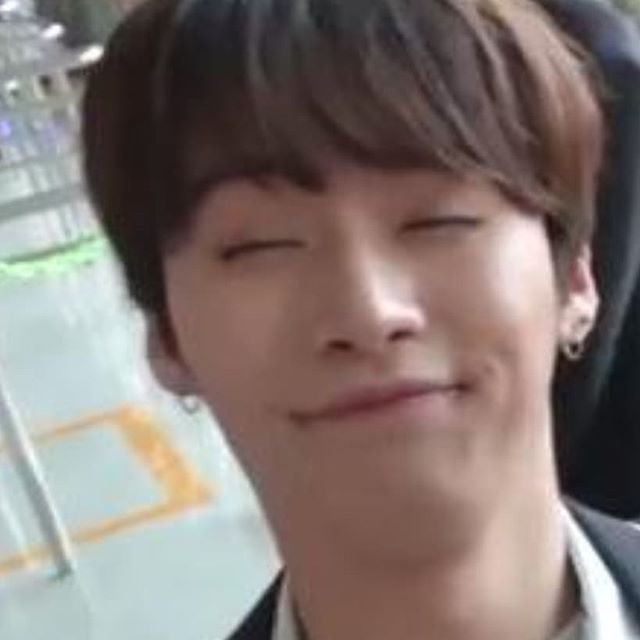 Stray Kids Lee Know as meme cats— a thread