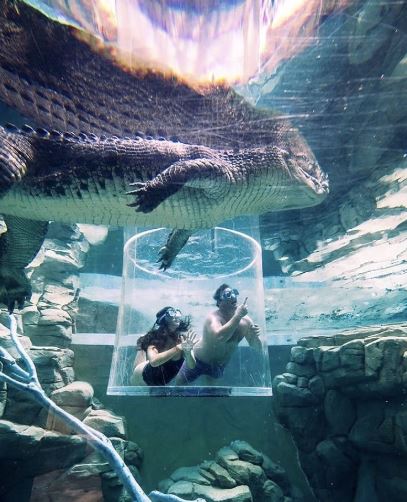 Come face to face with the world's largest reptile, the saltwater crocodile, at <a href="/Crocosauruscove/">Crocosaurus Cove</a> in what's called the 'Cage of Death'! 

Photo: kotravellers/via IG in #Darwin, <a href="/TourismTopEnd/">Tourism Top End News</a> #NTaustralia