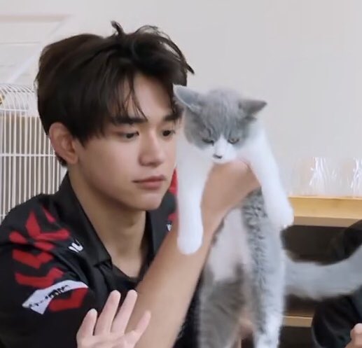 jjunmaowdoll's tweet photo. ทำไมจู๊นมาวถึงเป็นแมวเทา🤔?
#俊猫 #จู๊นมาว #jjunmaow ♡
นั่นก็เพราะว่า.. https://t.co/TkXIsFEtfx