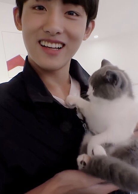 jjunmaowdoll's tweet photo. ทำไมจู๊นมาวถึงเป็นแมวเทา🤔?
#俊猫 #จู๊นมาว #jjunmaow ♡
นั่นก็เพราะว่า.. https://t.co/TkXIsFEtfx