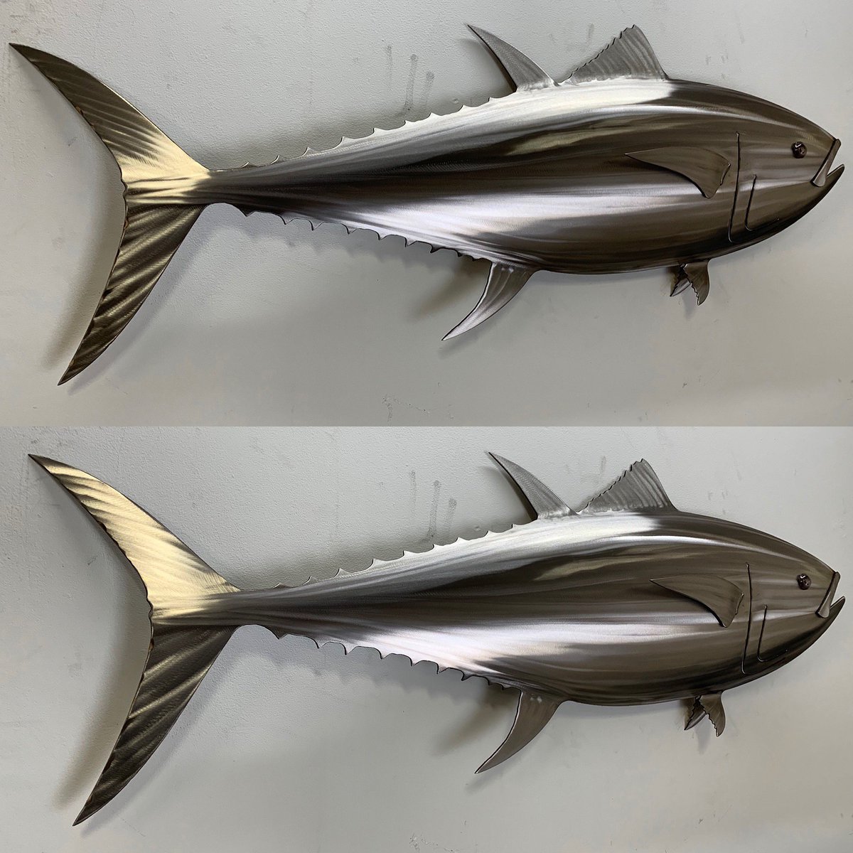 gallartworks's tweet photo. #tunatuesday , 36” 3D single sided #bluefin hand shaped from 16 gauge stainless steel. Bin really liking the stainless/no color versions more and more. https://t.co/k9e19FmYkZ
.
.
.
.
.
#gallartworks #stainlessmarineart #tuna #pelagic #bluefin #bluefintuna #theybite https://t.co/r9EkkC9jxn