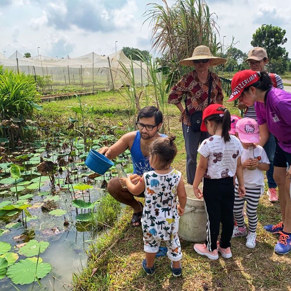 visitip's tweet photo. The final session of Nature Class for 2019 takes a look at 'Flowers' as you explore the lush blooms of Edible Park this 21 December 2019. 
Instil love and appreciation of nature among your kids at the weekly Nature Class by Medini Green Parks.

Recommended ages: 4 - 10 years old https://t.co/OUA9y2mWLl