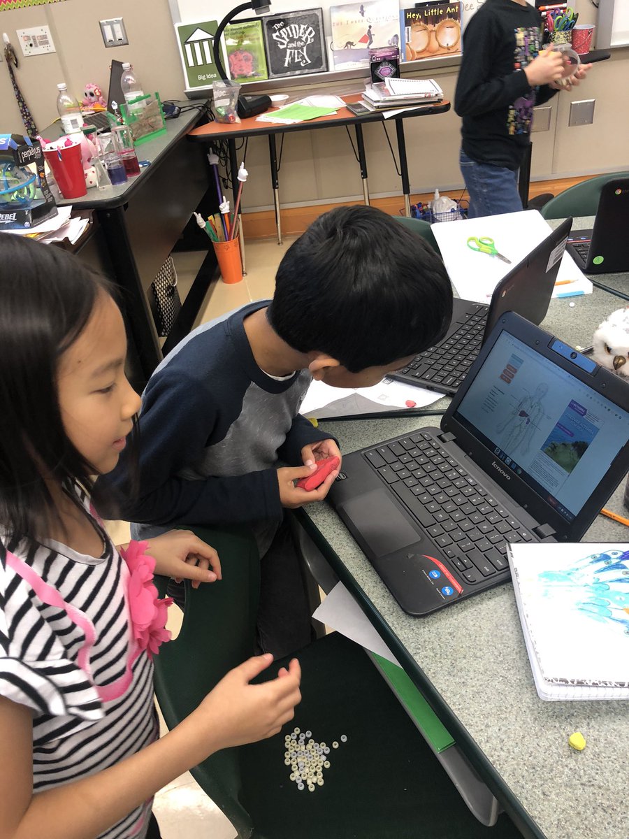 LasLomasGT's tweet photo. “I love learning how our bodies are made up of so many smaller parts that work together to make us, us. Who knew, right?” A direct quote from a Third Grader as the class studies the different systems found in our bodies! #neisdgt #theNEISDway https://t.co/5MLQZPj2gq