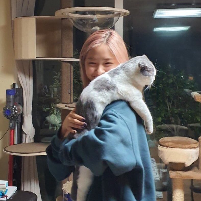 Ryucenter's tweet photo. she carries her cat like how you’d carry a baby https://t.co/JasDOb6YZW