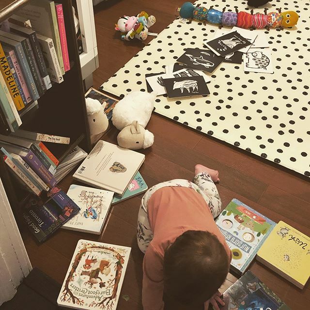 robsmopolitan's tweet photo. 🌪🌪🌪🌪 #sweetp #penelopejames #onthemove #ohtheplaceswego #hurricanebaby #redheadshavemorefun #chaosofmotherhood #motherhoodunplugged #readingnook #readingisfundamental #fortheloveofagoodbook https://t.co/6npAuoJ2qB https://t.co/avbtcG5X9f