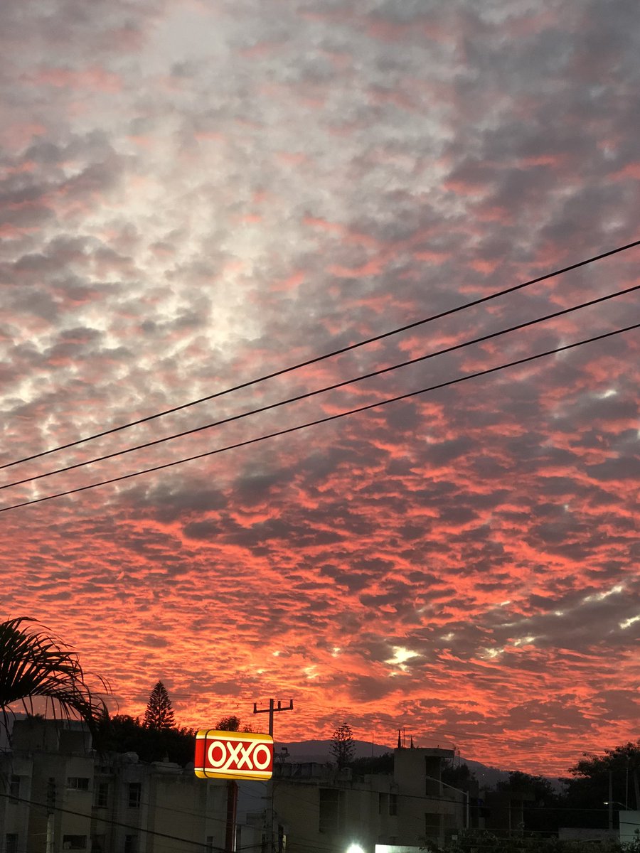 lauher79's tweet photo. Este cielo nos toco hoy al salir de trabajar 🌅 #sinfilto #concables siempre habrá imperfecciones que hacen una foto auténtica 📸 #única #photographylovers #feelinggood #nacho🦁 @ https://t.co/vyfgHHBt3X