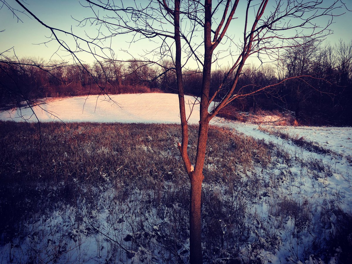dannyoconnor1's tweet photo. Right before dusk, praying for a big buck. (5 does showed up, all were over 60 yards out). Back at it again later this week. Fall and winter in Ohio is tough to beat. #ohiohunt https://t.co/aslBzbfbgy