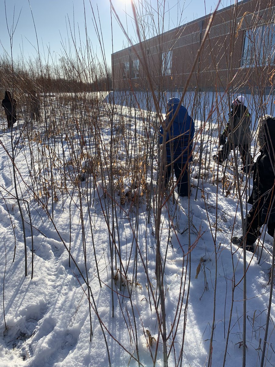 room3adventures's tweet photo. It was a cold day but it sure didn’t stop the search for perfect treasures (take a look at our next tweet...😉). @WpgBeachSchool #takemeoutside https://t.co/S2kJrSK74e
