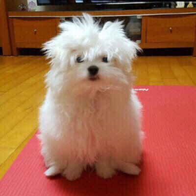 jaengsamax's tweet photo. 이거재유니 https://t.co/0KkGJnV0L1