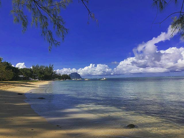 Imbibeologist's tweet photo. Beautiful morning stroll ☀️🏝🏖 https://t.co/WEnShSg0Hj https://t.co/JN668EoDmO