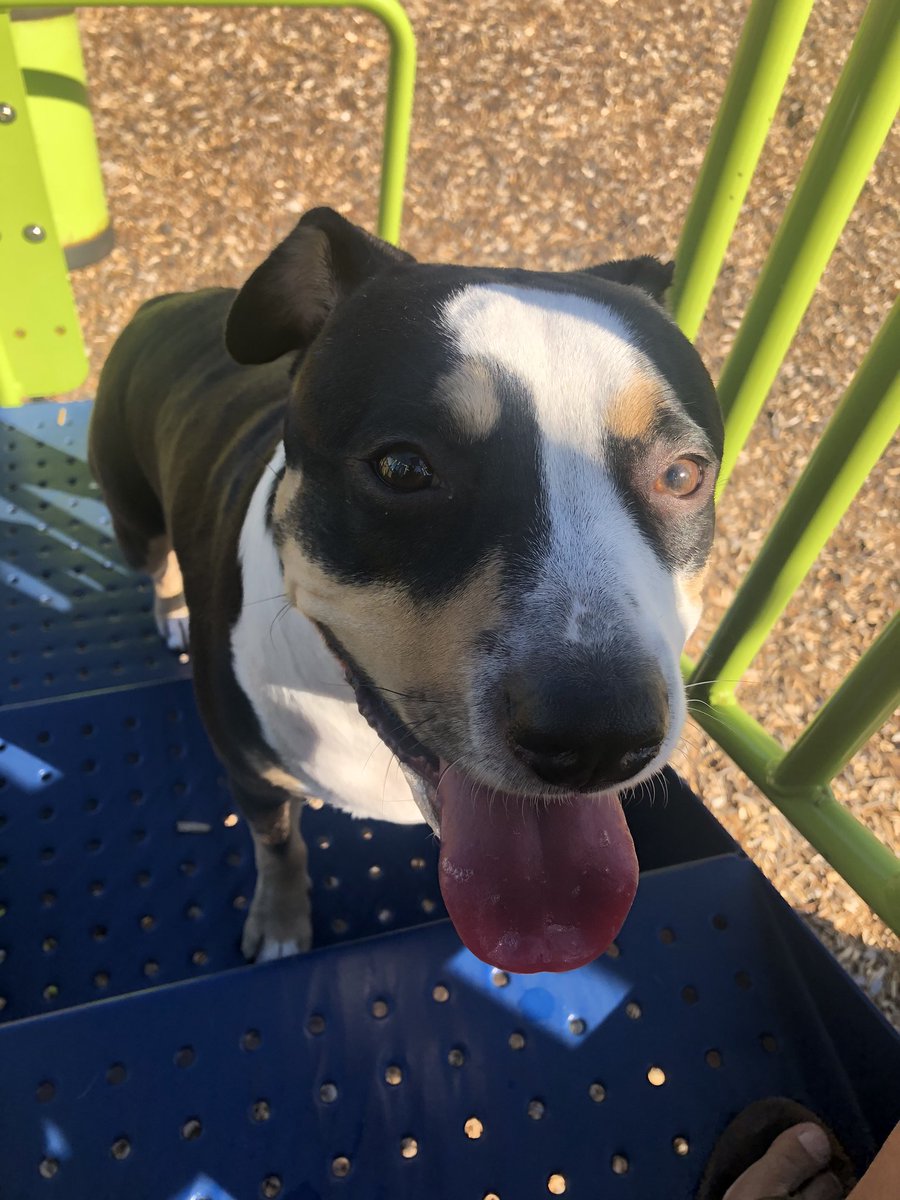 cezz0429's tweet photo. @ColourPopCo Here’s my bebe April 🥰 https://t.co/SCzraGqb44