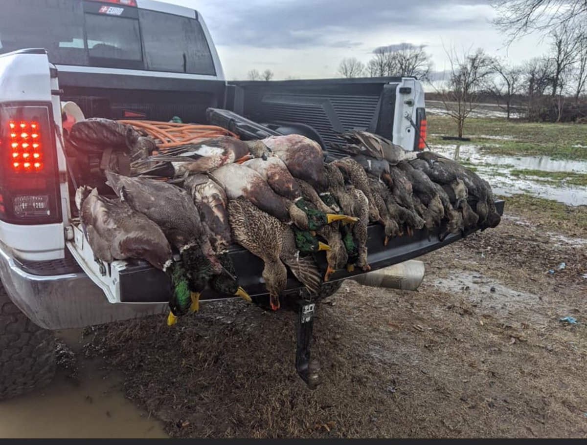 ‼️‼️GET US TO 500 FOLLOWERS, RETWEET THIS TWEET AND MAKE SURE YOU FOLLOW OUR PAGE‼️‼️
that’s all you guys have to do to be entered in a chance to win a free hunt for you and a buddy!!!!

let’s see just how fast y’all can get us to 500 followers 🦆‼️