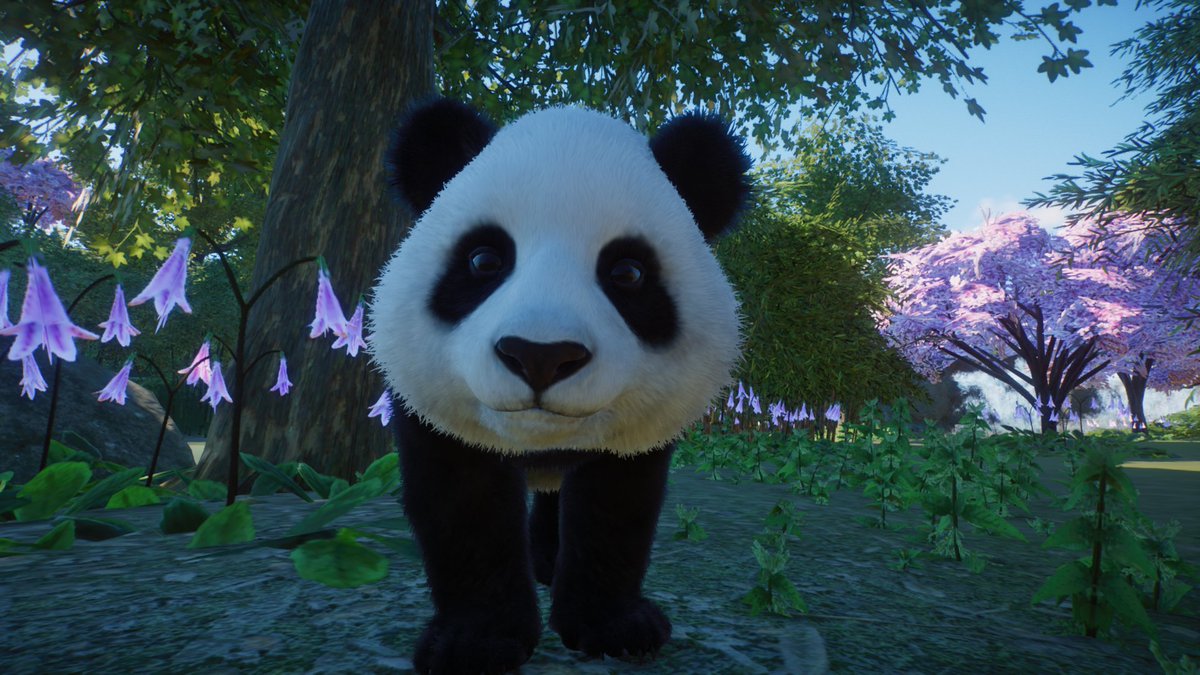 GameFacedGamer's tweet photo. It's a panda baby! #PlanetZoo https://t.co/TxpxrpQYES