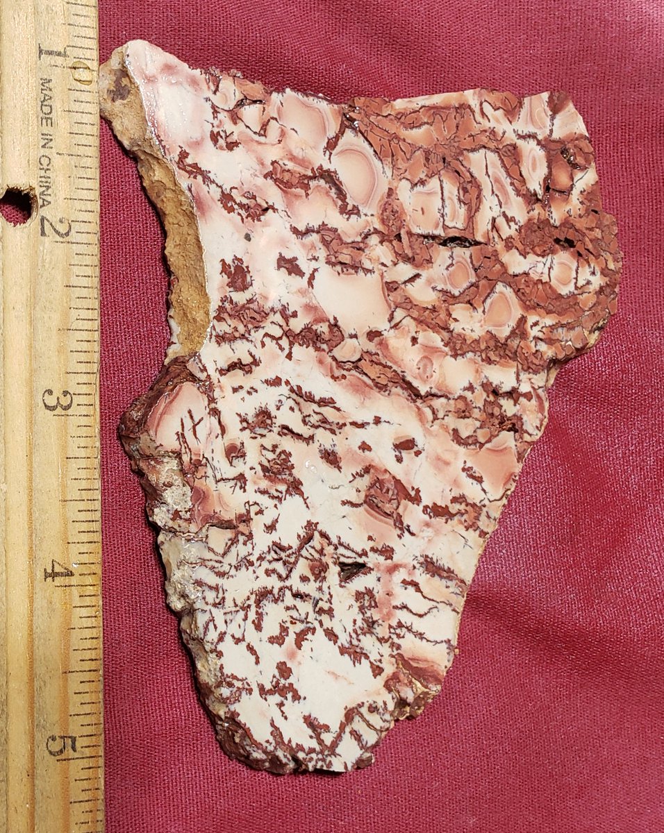 Altamont On Twitter Some Of The New Slabs Up For Sale On The Facebook Group Creative Slab Connection Altamont Bluedreamjasper Desertfirejasper Jasper Lapidaryrough Nevada Wonderstone Deadcameljasper Deadringerjasper Lapidaryslabsforsale