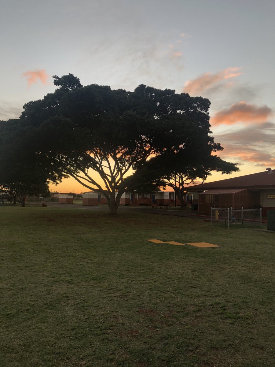 Deb Hatada tweet media