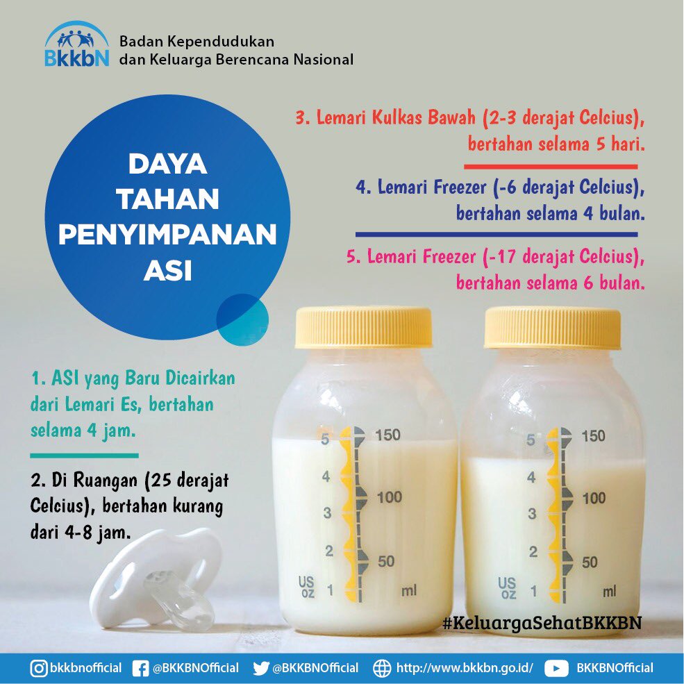 Penyimpanan susu badan