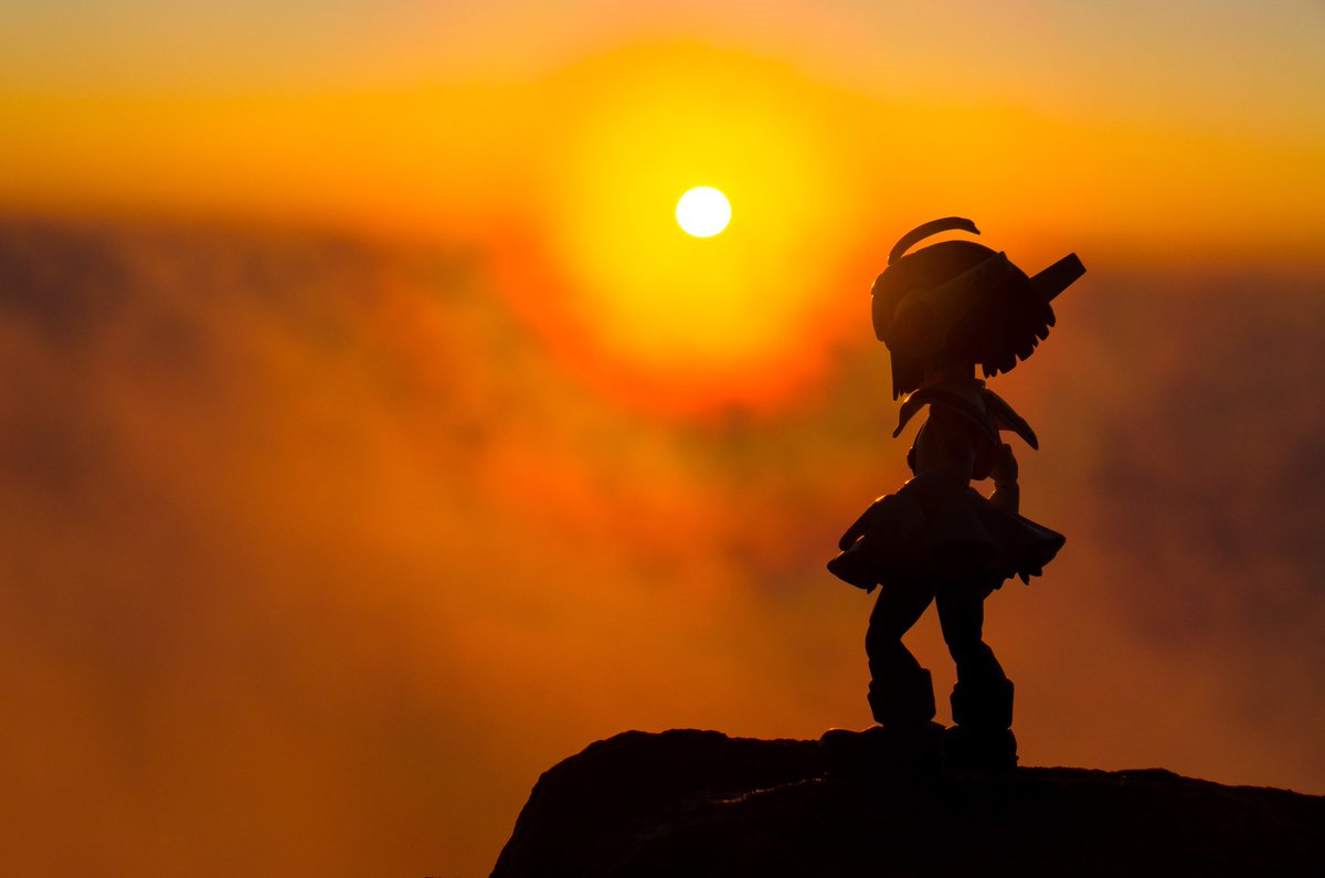 コンバットさん tweet media