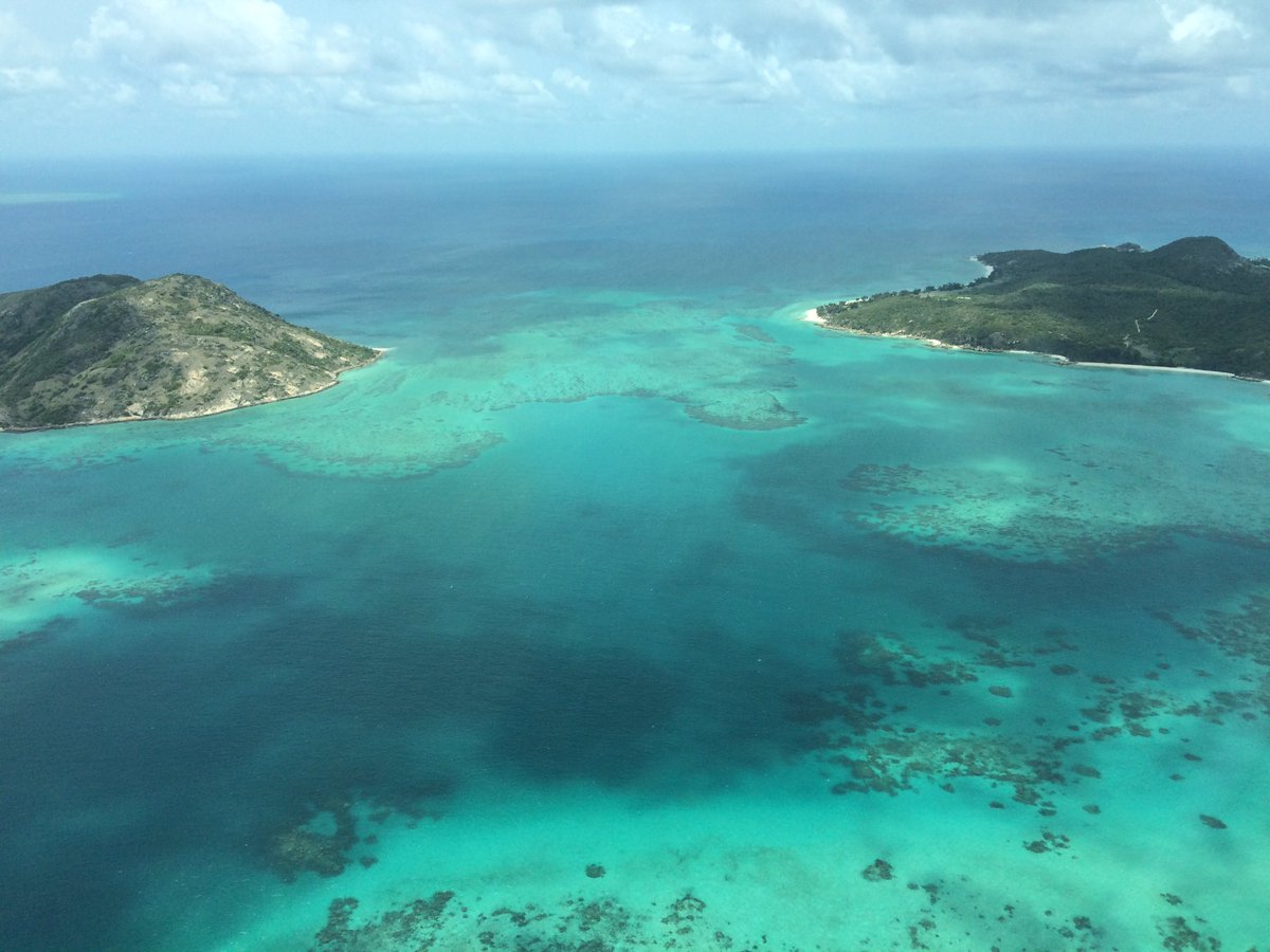 HasHarding's tweet photo. Leaving Lizard Island to the soundtrack of @ChasingCoral (thanks @WeschkeE ), but thankfully this time with more encouragement after seeing lots of new growth and spawning corals 🐠🐡  Thanks to the awesome team SWAG for another epic trip👌 #oceanoptimism #CoralReefs #Science https://t.co/RDumMn6Dp7