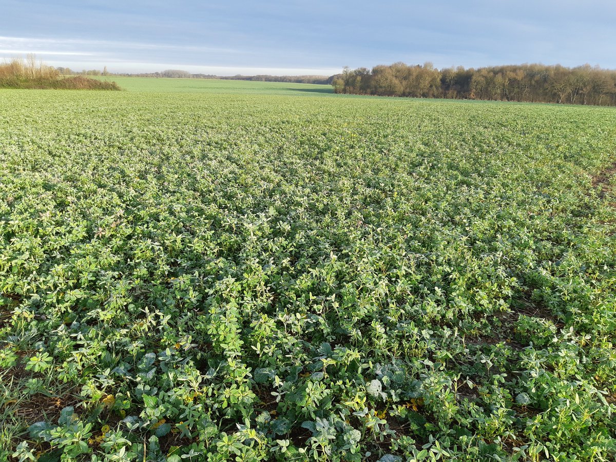 maxime touzaint tweet media