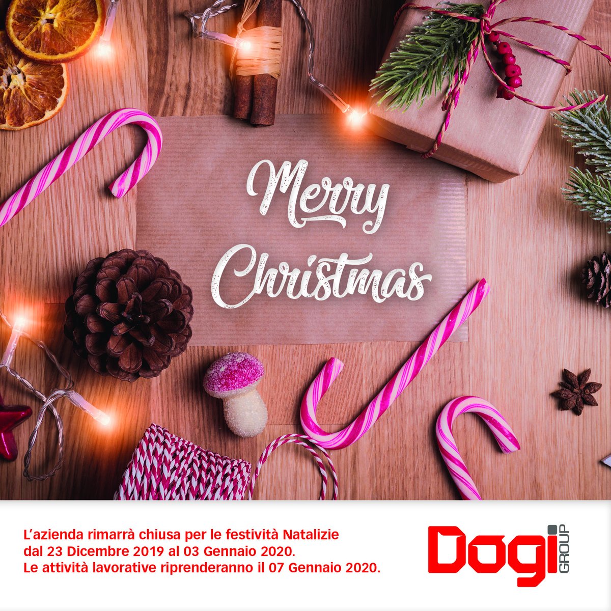 DogiGroup tweet picture