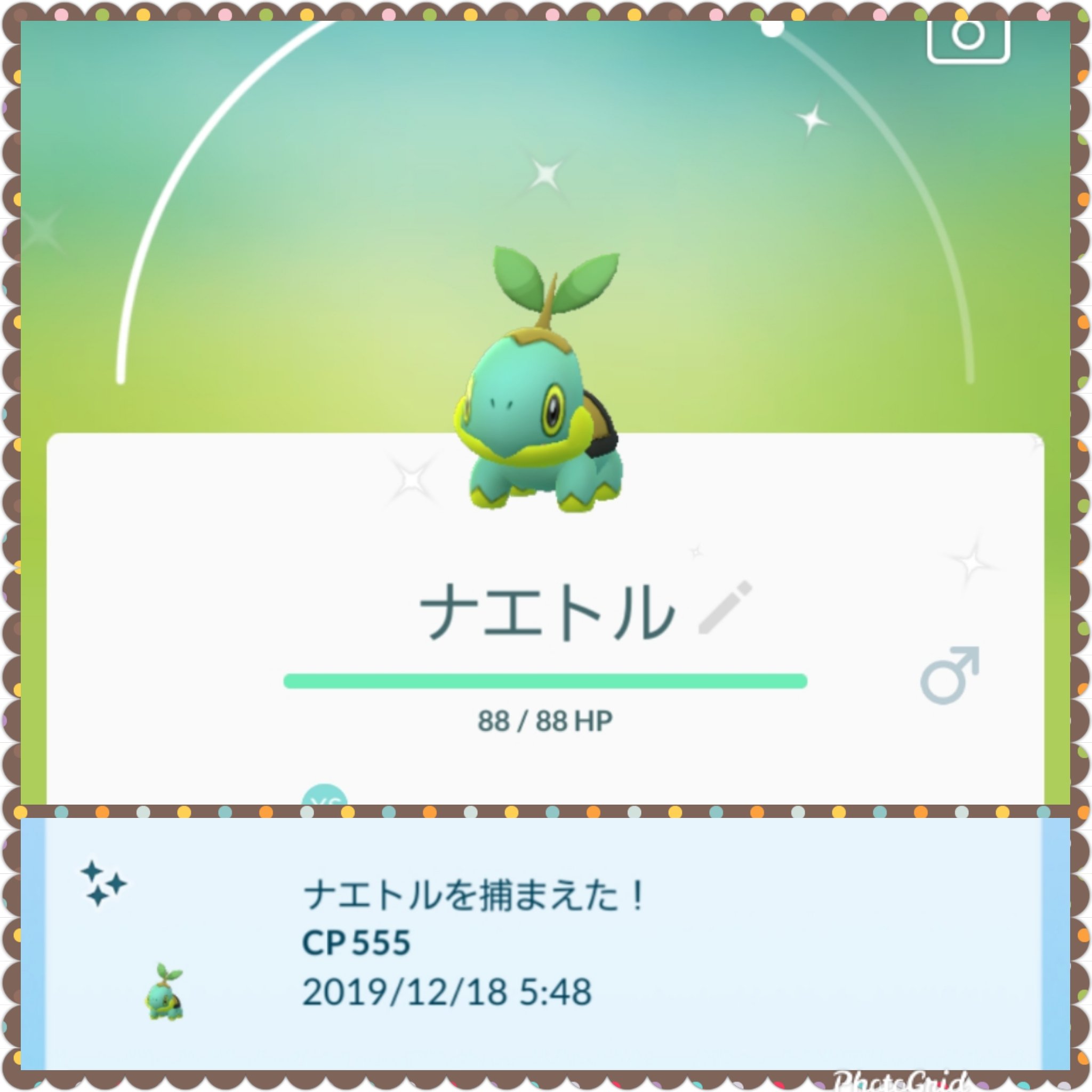 トレーニングボックス Twitter Search Twitter