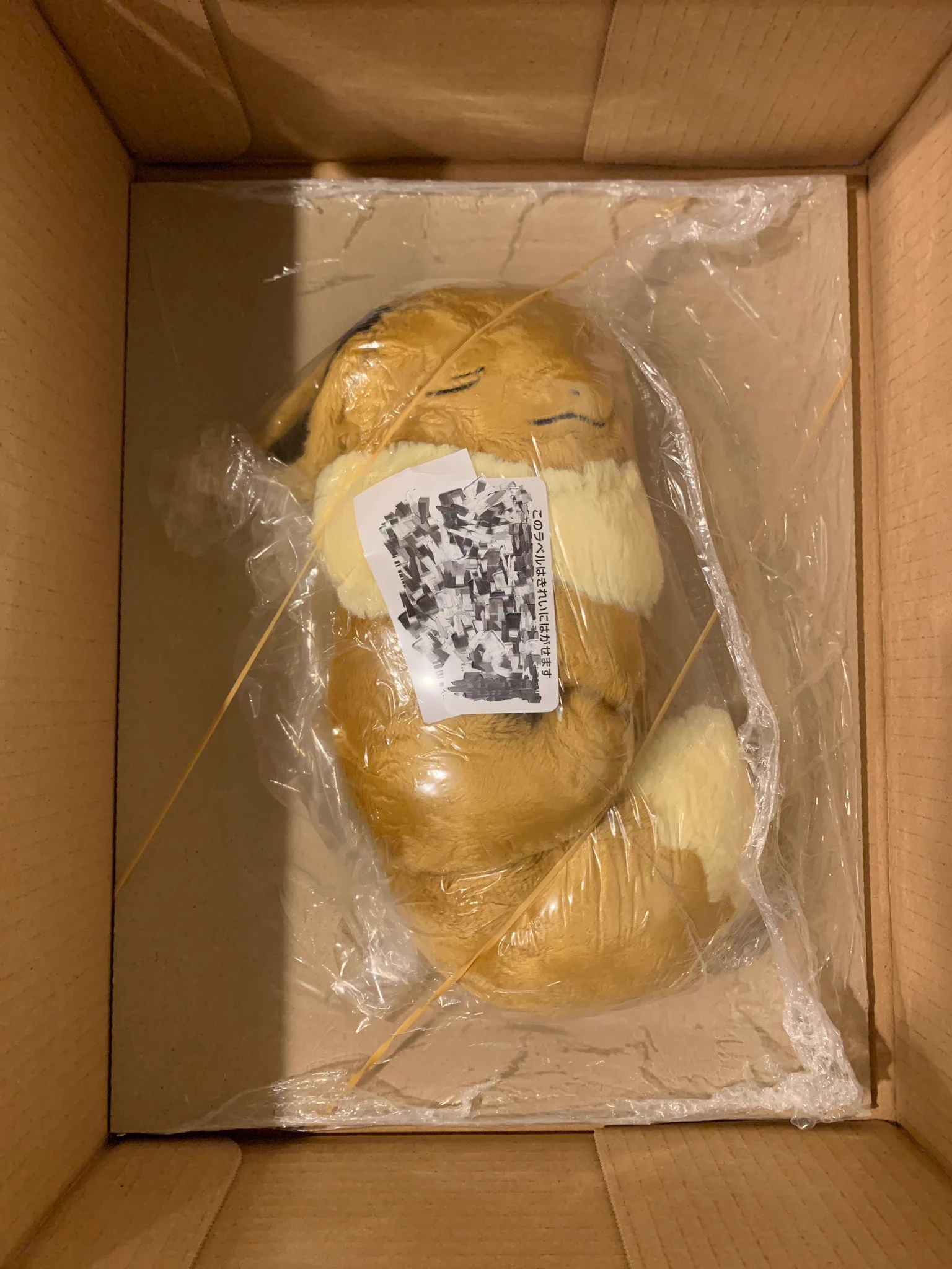 可愛いイーブイのぬいぐるみが届くはずが？まるで死んだような状態で届くwww