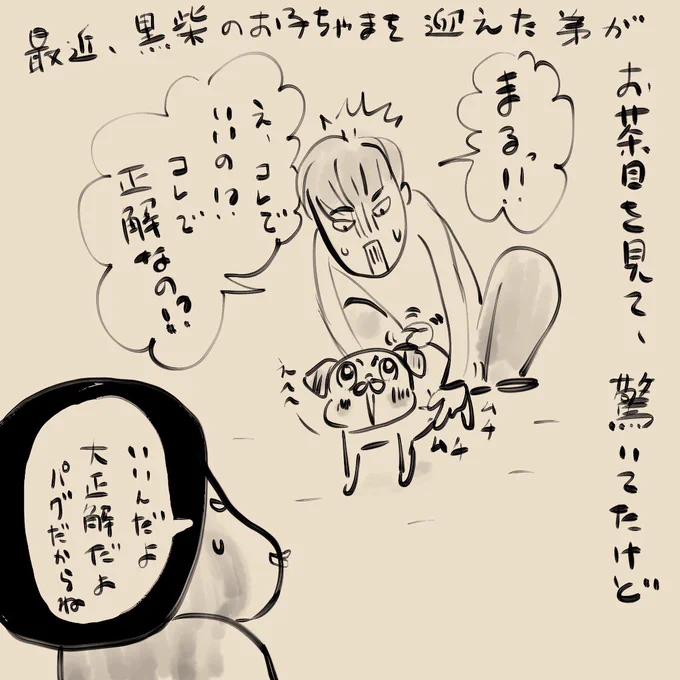 っていうか、小春びよりの耕之助のモデルになったパグ大好きの弟が、まさかの黒柴チョイスしたほうがビックリだよ 