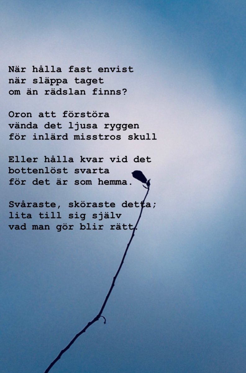 

#poesi #poem #diktpåsvenska #ord #läsa #tankar #lyrik 