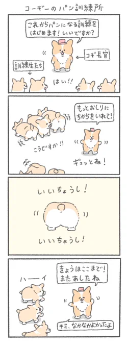 コーギーがパンになる訓練をする漫画です 