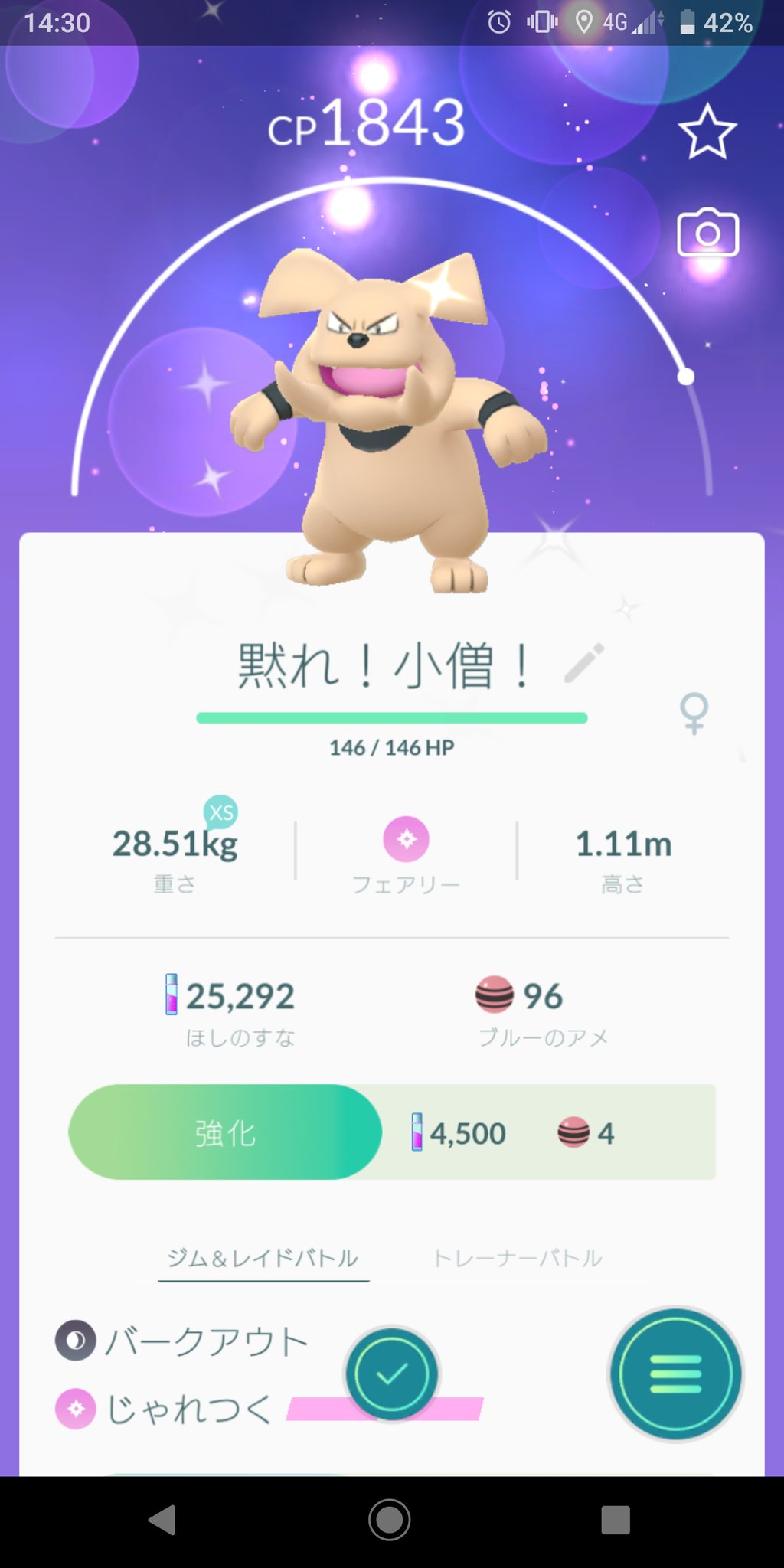 中村 史彦 ポケモンgoにて 色違いのブルーゲットだぜ さっそく進化させてグランブルに 名前はこちら 本当は お前にサンが救えるか にしたかったのですが ８文字オーバーなので こちらにしました コダックもだけど 進化するといかつくなる