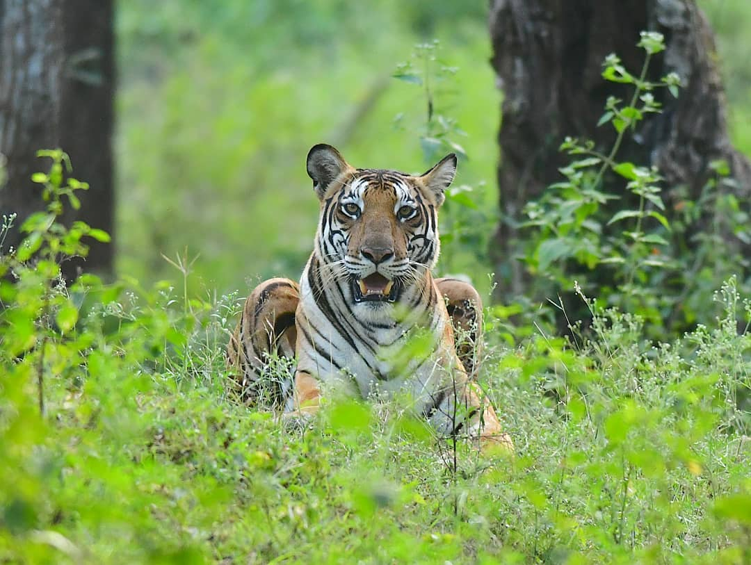 Sticky Rice Travel tweet media